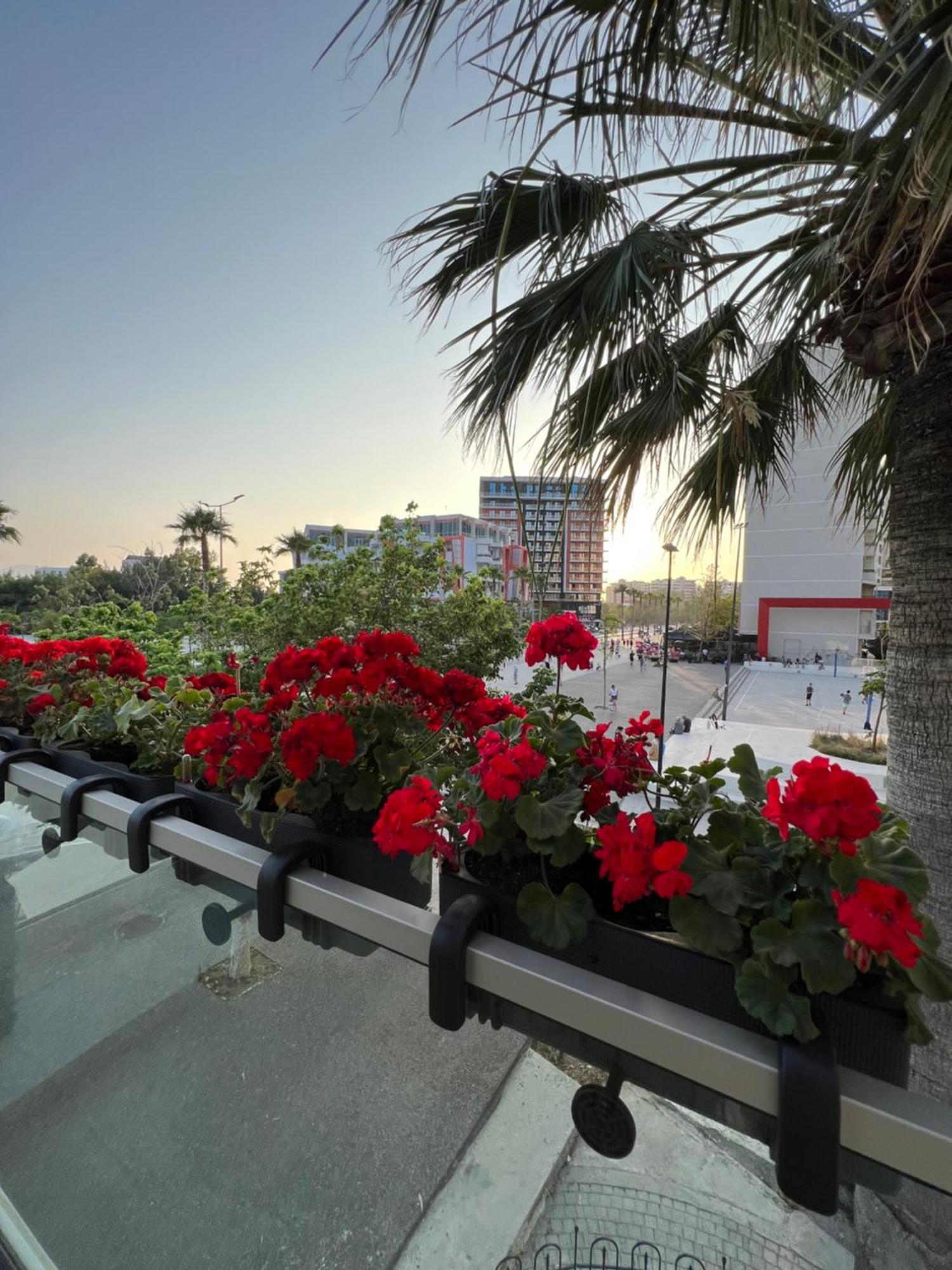 Dot Tradition Vlorë Exteriér fotografie